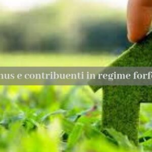 Anche chi è in Regime Forfettario può beneficiare dell'ECOBONUS